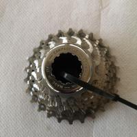 Cassetta pignoni campagnolo