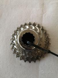 Cassetta pignoni campagnolo