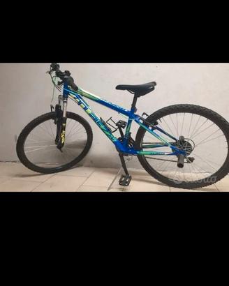 Mountain bike