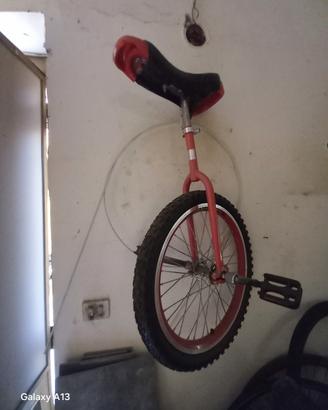 monociclo