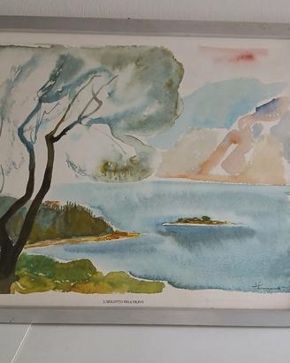 quadro-acquarello "isolotto dell'ulivo"