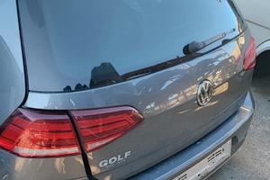 Volkswagen Golf 7 (VII) 1.6 del 2019