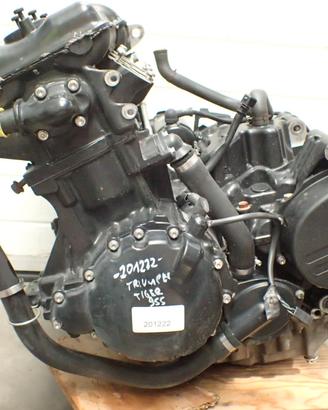 Motore Triumph Tiger 955i 78770 km Video