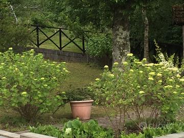 Bella casa sulla montagna pistoiese