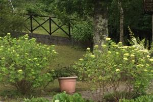 Bella casa sulla montagna pistoiese