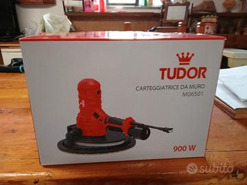 CARTEGGIATRICE DA MURO