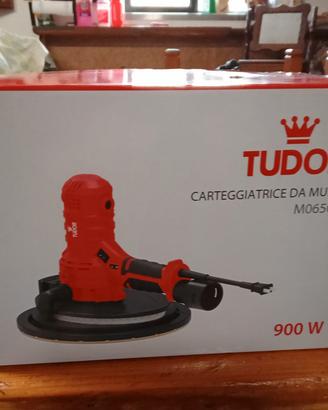 CARTEGGIATRICE DA MURO