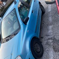 panda