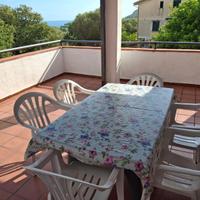 Palinuro appartamenti