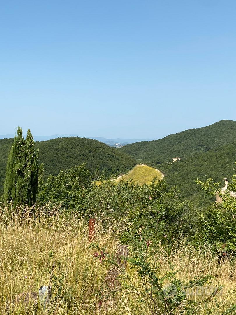 Urbino Zona Tufo 40 ettari di terra - Altro