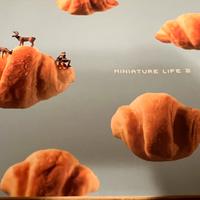 Tatsuya Tanaka  Miniature Life 2