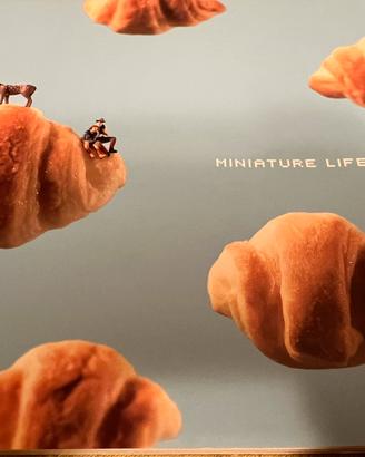 Tatsuya Tanaka  Miniature Life 2