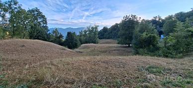 Terreno edificabile a Bolca a 850 s.l.m di 2700 MC