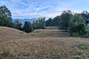 Terreno edificabile a Bolca a 850 s.l.m di 2700 MC