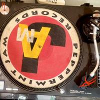 TECHNICS Deejay COPPIA Giradischi