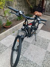Bici elettrica