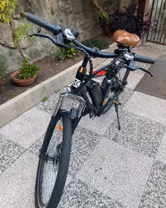 Bici elettrica