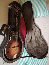 mandolino the Loar F-Style