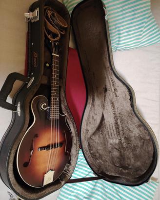 mandolino the Loar F-Style