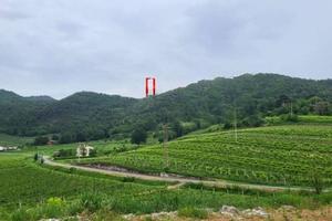 Immobile in asta di 13973 m² a Montegrotto Terme