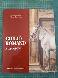 Giulio Romano a Mantova - Libro