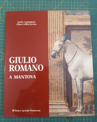Giulio Romano a Mantova - Libro