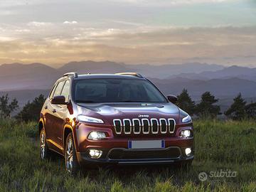 JEEP Cherokee 2.0 Mjt II 170CV 4WD Longitude km