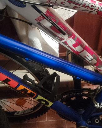 bicicletta 