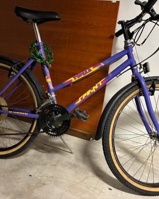 Mountain bike, 24 pollici