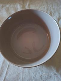 insalatiera Pagnossin 