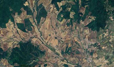 Casa a Gavorrano (GR)