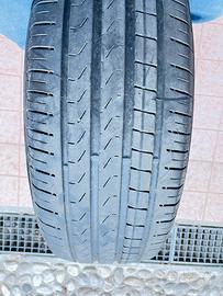 Gomme estive