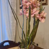 Vaso Orchidea 