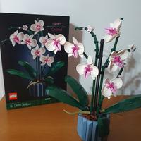 LEGO Botanical Collection - Orchidea