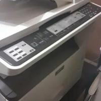 Stampante professionale