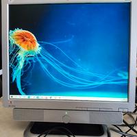 Monitor HP pc computer + altoparlanti casse audio