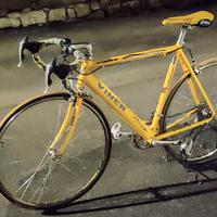 Bici Viner Evolution