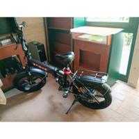 Bici elettrica enwie