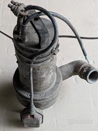 Elettropompa Lowara 750 w 