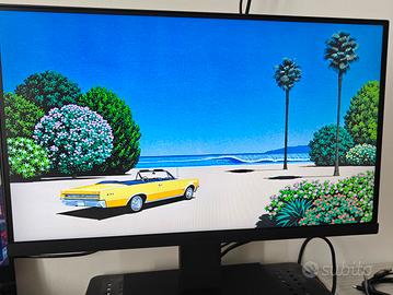 Monitor