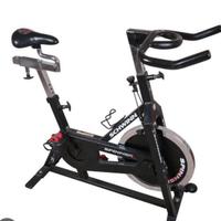 10 SPIN BIKE SCHWINN PROFESSIONALI