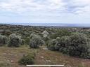 ter-agricolo-a-polignano-a-mare