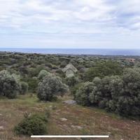 TER. AGRICOLO A POLIGNANO A MARE