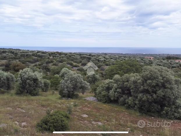 TER. AGRICOLO A POLIGNANO A MARE