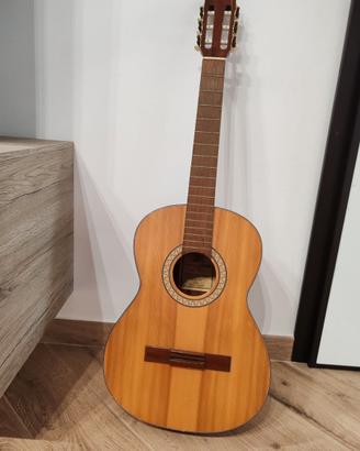 Chitarra pro arte