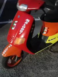 Zip Piaggio 70 Malossi 
