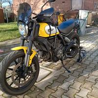 Ducati scrambler 