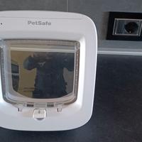 gattaiola con microchip 