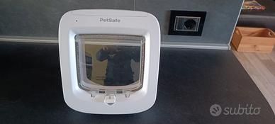 gattaiola con microchip 