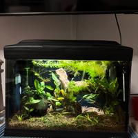 Acquario Ferplast Cayman 40 - 21L